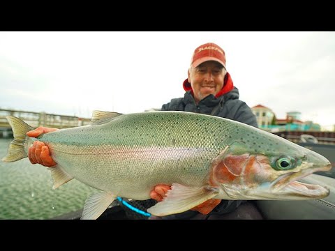 Видео: Советы и рекомендации по ловле ОГРОМНОГО осеннего стальноголового лосося!