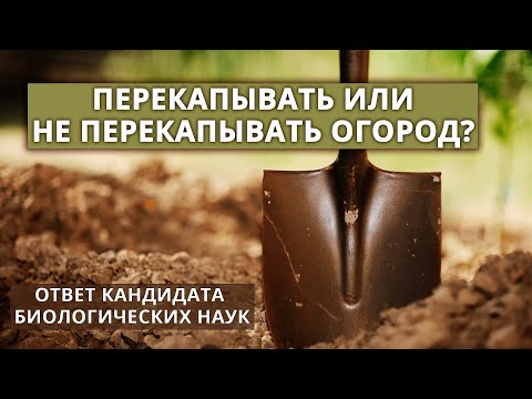 Видео: Нужно ли перекапывать почву в огороде?