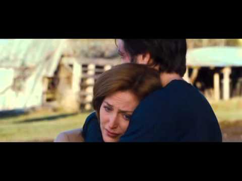 Видео: Цветут цветы