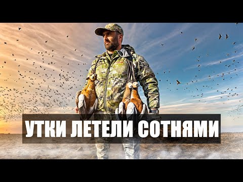 Видео: МЫ НЕ ОЖИДАЛИ ВСТРЕТИТЬ СТОЛЬКО УТОК | ДВА ДНЯ ОХОТЫ СО СКРАДКОВ