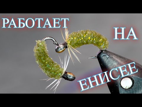 Видео: Синель Енисейская. По Опыту Рыбалки в Красноярске