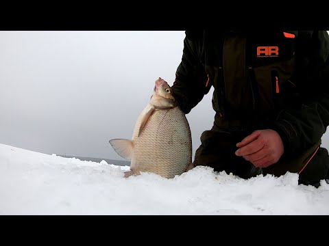 Видео: Раздача трофейных ЛЕЩЕЙ на Новый Год.Рыбалка на Сурском водохранилище 1 января 2022 года.