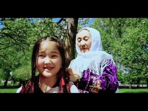 Видео: АЙБЕК КАСЫМОВ - БЕШ КОКУЛ