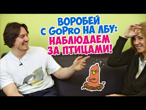 Видео: Наблюдение за птицами. Разговор с Василием Вишневским