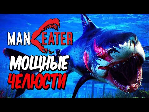 Видео: MANEATER ● Прохождение #2 ● НОВЫЕ МОЩНЫЕ ЧЕЛЮСТИ АКУЛЫ! НАПАДЕНИЕ АКУЛЫ НА ПЛЯЖЕ!