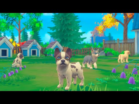 Видео: My Universe: Puppies & Kittens покупка котёнка №2 Гуля ТВ