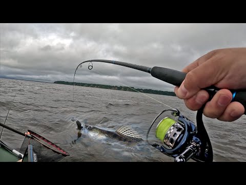 Видео: Спиннинг на ГОРЕ МОРЕ Трудовая рыбалка в не погоду .