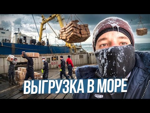 Видео: Самая тяжелая часть работы в море - ВЫГРУЗКА - Сколько платят ?