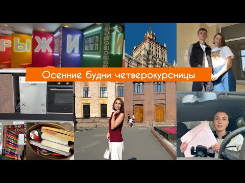 Видео: Сколько стоит ВНЖ || Купили посудомойку || Рыжий Фест 2025  