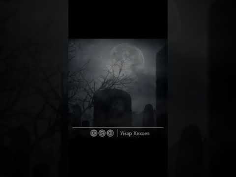 Видео: Паччахьи къонахчуьни хиллачу къамелях лаьцна дийцар