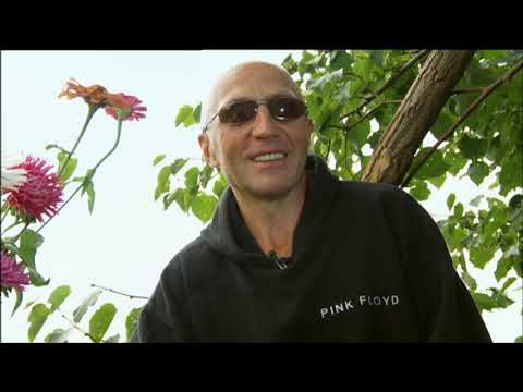 Видео: Відкрита Зона. Липа