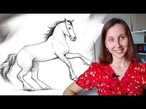 Видео: Как нарисовать лошадь поэтапно карандашом для начинающих. Туториал по рисованию