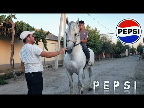 Видео: ПЕПСИ ЛАКАБЛИ УЛОКЧИ ОТ СОТИЛАДИ..ULOGI KAFOLATLI PEPSI OT SOTILADI.(Mus Tv)#Ot #horse