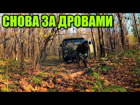 Видео: Снова в лес за дровами.
