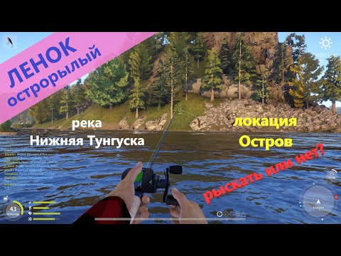 Видео: Русская рыбалка 4 - река Нижняя Тунгуска - Рыскать или не рыскать?