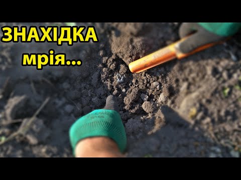 Видео: Нашли ДОРОГУЮ НАХОДКУ по скифам.Фермер дал добро копать!Коп монет с minelab manticore и equinox 800