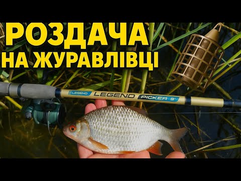Видео: З ліва шалено клює плотва, з права карась.Ото рибалка!!!🤗