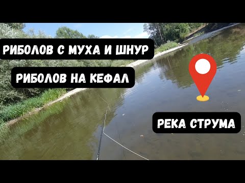 Видео: Риболов с муха и шнур на речен кефал