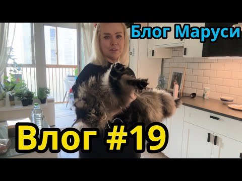 Видео: СОЛИМ РЫБКУ | НОВАЯ МЕБЕЛЬ  | БЛОГ МАРУСИ