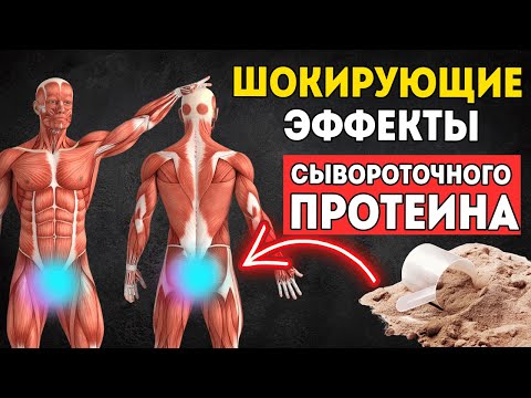 Видео: 10 Изменений, Которые Происходят В Вашем Организме, Когда Вы Принимаете Сывороточный Протеин