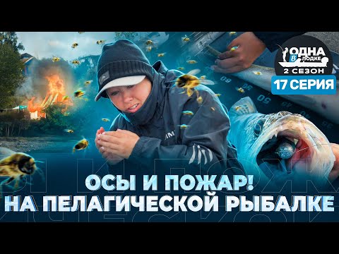 Видео: ПЕЛАГИЧЕСКИЙ СУДАК В КАЗАНИ | КАК ЛОВИТЬ РЫБУ В ТОЛЩЕ ВОДЫ | «Одна в лодке» | 2 сезон | 17 серия