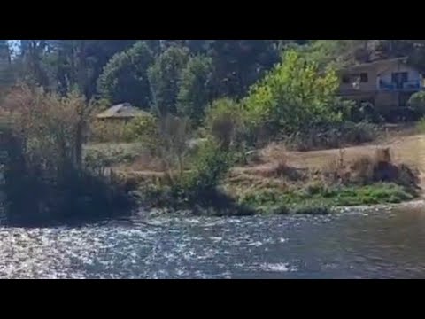 Видео: Воскресное утро в банско