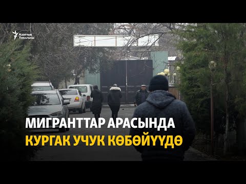 Видео: Мигранттар арасында кургак учук көбөйүүдө