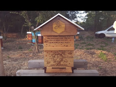 Видео: Профилактично третиране на пчели против нозематоза