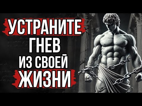 Видео: После этого видео ты перестанешь злиться — СТОИЦИЗМ