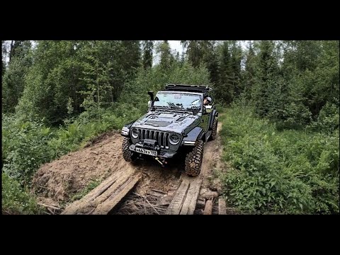 Видео: Лесники на Трелевочнике сказали, что мы там утонем! Jeep Wrangler, Dodge RAM, и УАЗ - не сдаемся!