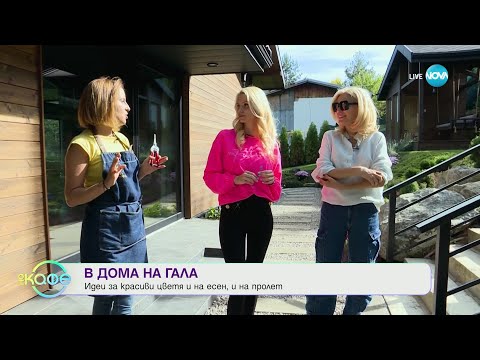 Видео: На гости в къщата на Гала - „На кафе” (20.10.2023)