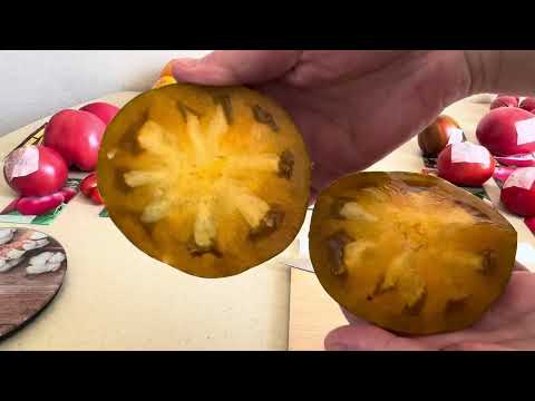 Видео: Томаты2025🍅🍅🍅,вкусная дегустация или разочарование 