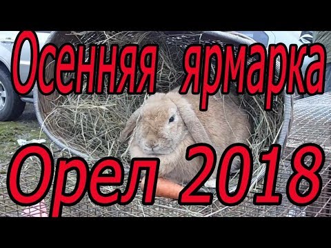 Видео: Ярмарка в Орле  2018г  КУРЫ, УТИ, ГУСИ, КРОЛИКИ, ГОЛУБИ