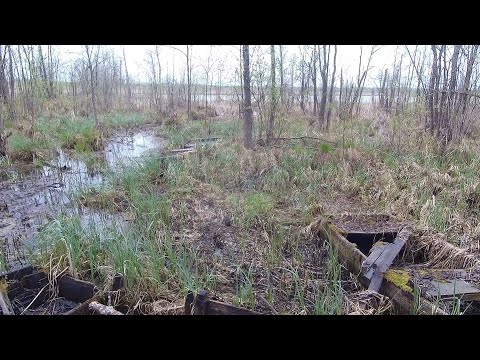 Видео: Да сколько же в этом болоте рыбы!!! Ловля краснопëрки, наноджиг, мормышинг.