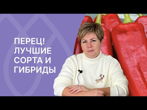 Видео: Лучшие сорта и гибриды перцев | Спикер Лариса Зарубина | Семь семян