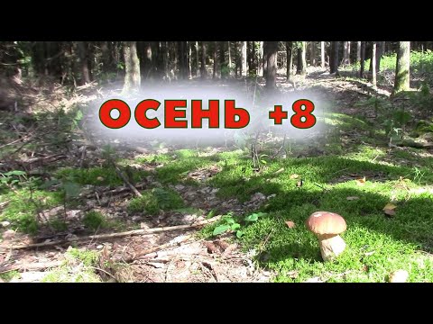 Видео: Осенние урожаи