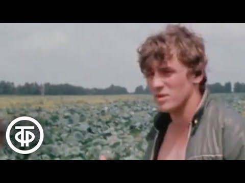 Видео: Каникулы в деревне. Документальный фильм (1984)