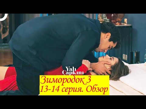 Видео: Зимородок 3. Серия 13-14. обзор