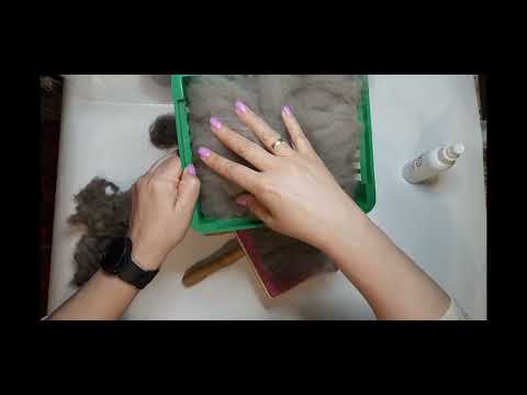 Видео: 3. Пух от Ержана. Чистим, сдергиваем перед мытьем. Продолжаем подготовку.