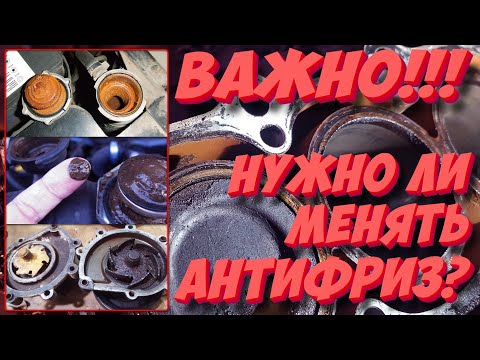 Видео: Нужно ли менять антифриз и как часто это делать? Это важно!!!