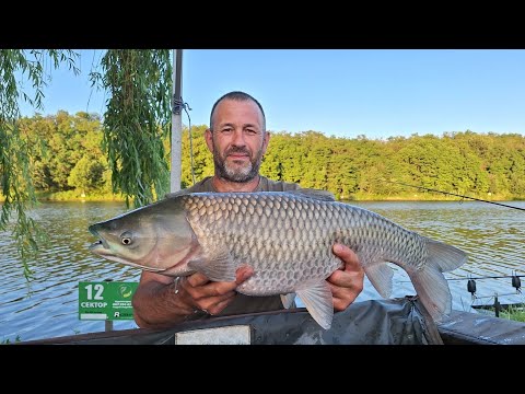 Видео: Вечірній вихід КОРОПА ч.2. Готуємо з батьком ПЛОВ. Попали на нічний ЖОР риби. Озеро Кунка 2025