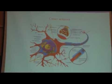 Видео: Михаил Закс (Michael Zaks) Нелинейная динамика. Лекция #6