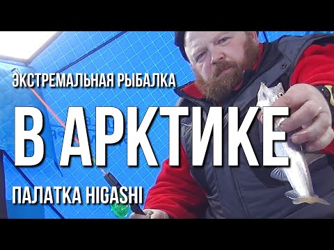Видео: Экстремальная рыбалка в Арктике, палатка HIGASHI