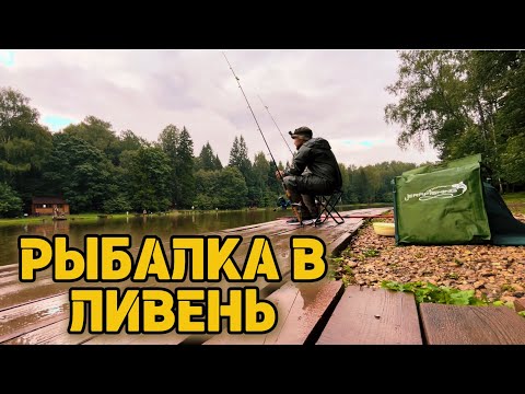 Видео: ЛЬЕТ КАК ИЗ ВЕДРА! РЫБАЛКА В ЛИВЕНЬ