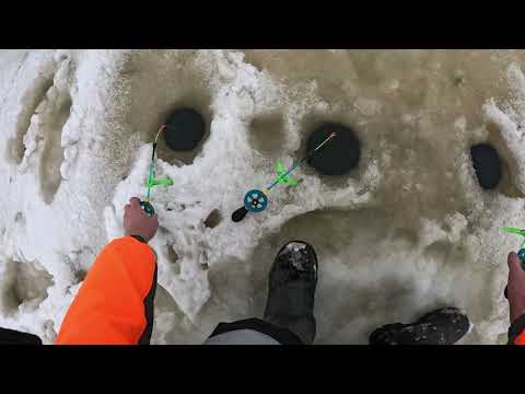 Видео: Продолжаю раннюю зимнюю рыбалку на ротанов!