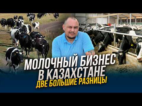 Видео: Молочные фермы в Казахстане - два разных подхода