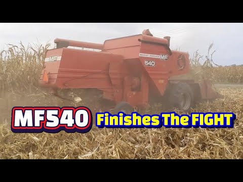 Видео: РЕДКИЙ 43-дюймовый офсетный кукурузный комбайн! Завершаем уборку кукурузы с помощью восстановленн...