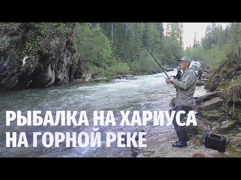 Видео: Рыбалка на хариуса. Рыбалка на горных реках Сибири.