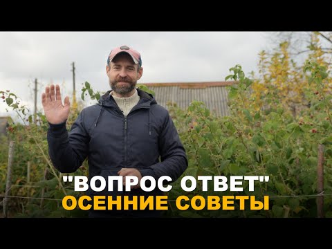 Видео: РУБРИКА "ВОПРОС-ОТВЕТ": О саженцах, черенках смородины, клюкве, сидератах, поросли вишни и др.