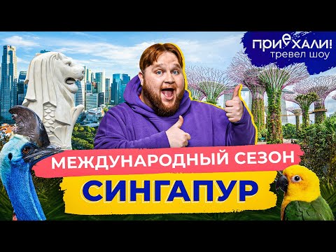 Видео: Сингапур | Небоскребы в джунглях, ночное сафари и камни в уличной еде | Приехали! | Выпуск 20